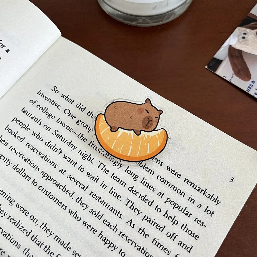 과일이 가득한 귀여운 카피바라 브로치
