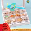 Kindergarten teaching Marine animals Real fish Resin specimen Fish tortoise Crab Amber ornaments home accessories  decor 1