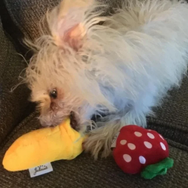 7-Piece Plush Puppy Toy Set 3