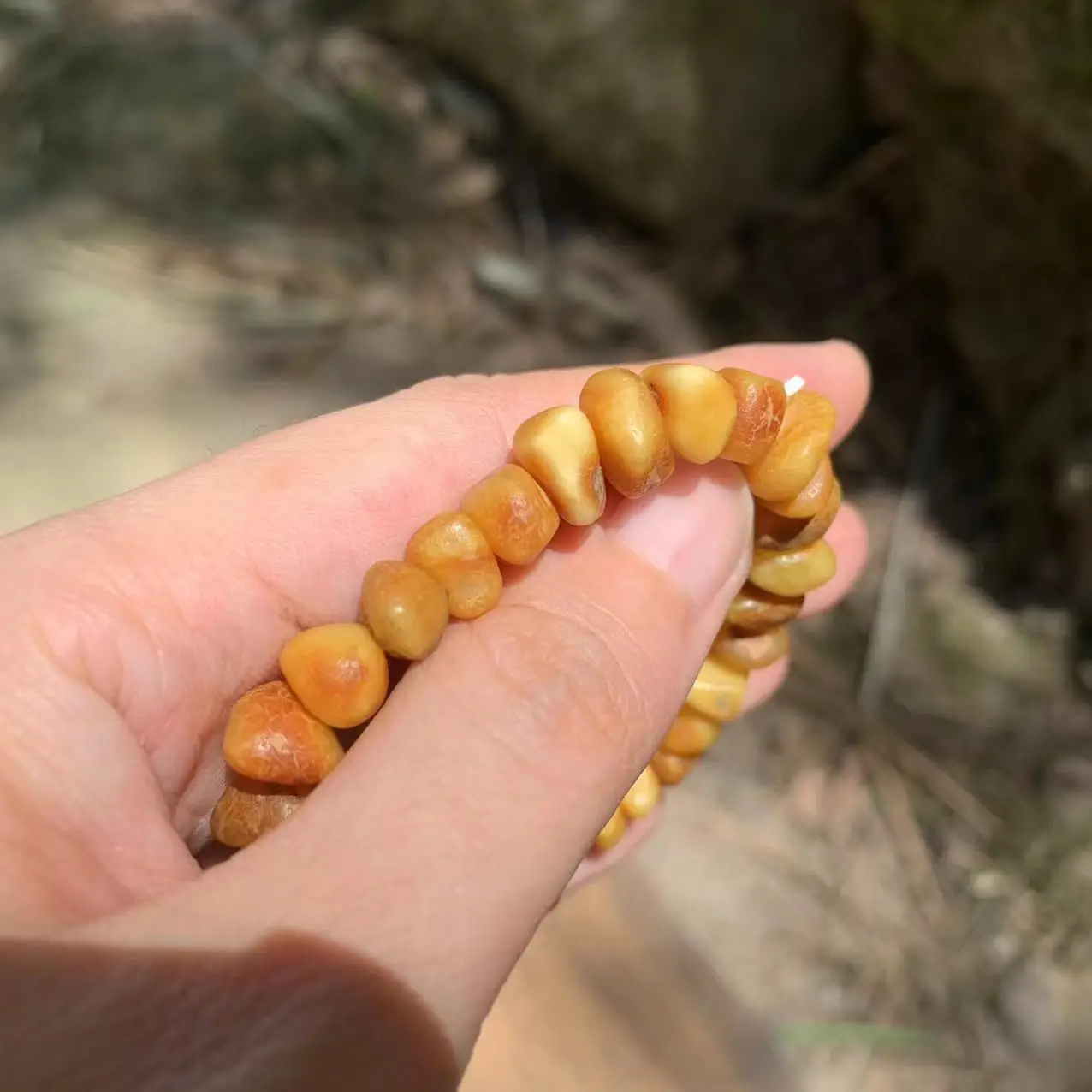 100% natural baltic amber bracelet Jewelry Genuine  Charm Bracelets  Cute/Romantic  Women