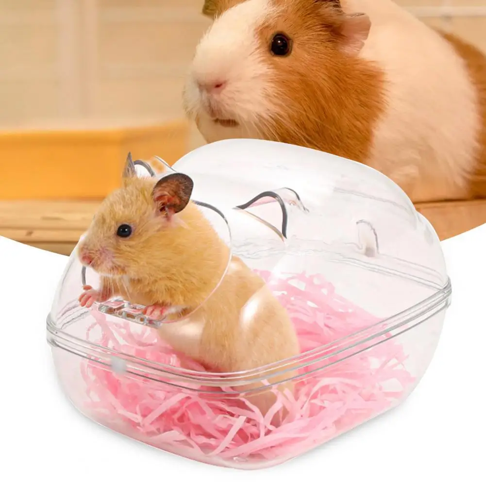 Bathroom Hamsters Hamster Bathtub Toilet Hamster Hamster Litter