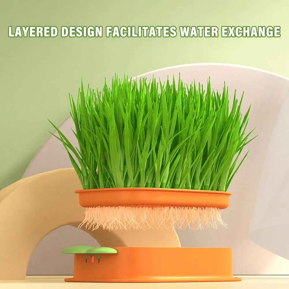 

Лоток для рассады, горшок для выращивания кошачьей мяты без земли, креативный для дома, горшок для травы, гидропонный кошачья мята, удобный детский садовый лоток для моркови S8D2