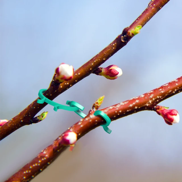 60 db Kerti Növényi Tartó Klipek A Mászáshoz Szőlő Paradicsom Zöldségkar Hurok Bilincs Ültetési Megfogás Tartás Rögzítő Szár - Image 5