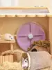 Multi-Functional Foldable Pet Tunnel Arch House For Rabbit Hamster Indoor Outdoor Use