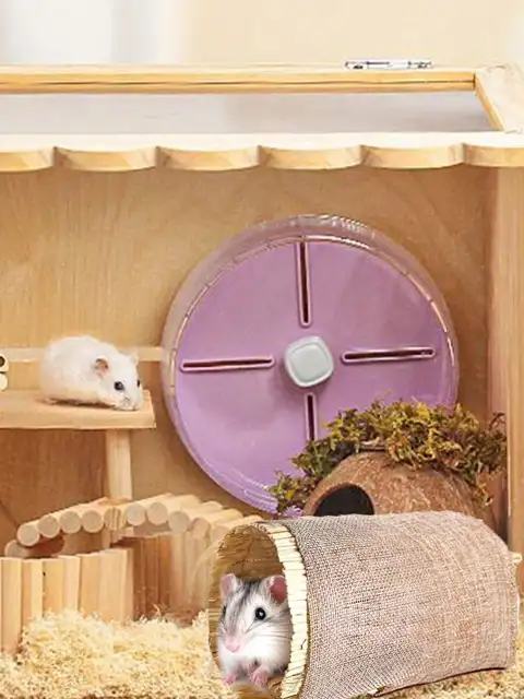 Multi-Functional Foldable Pet Tunnel Arch House For Rabbit Hamster Indoor Outdoor Use