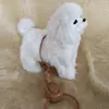 Electronic Plush Dog Toy Robot Cat Sing Song Puppy Leash Control Music Animal Walk Bark Electric Kitten Pet Kids Birthday Gift 3