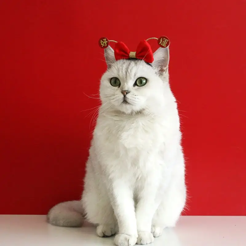 Title 10, Cat Accessories Party Cat Headdress Wear Puppy ...