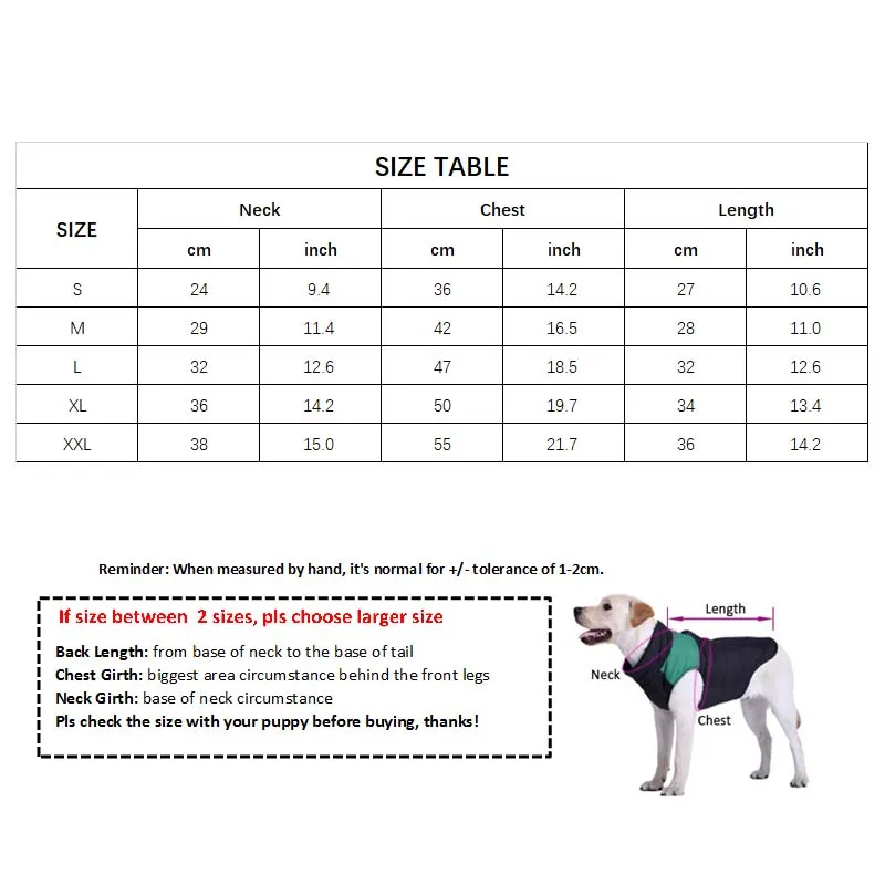 Luxueux Pull pour Chien DIOR - 2025 - Vêtement et accessoires pour chiens - Doglovedesign