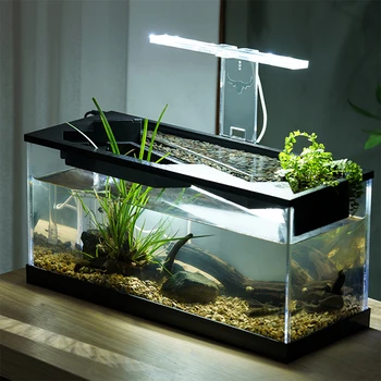 Desktop Fish Tank 1