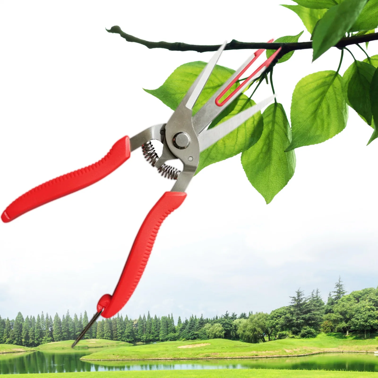 garden scissors garden tools Fruit Picking Scissors Double-edged Apple Picking Scissors Kiwi Pear Thinning Yangjiang Double Mouth Thin