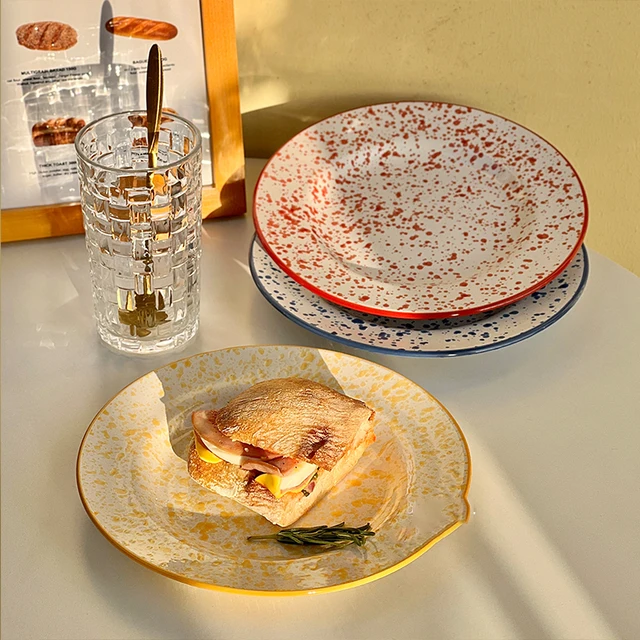 大皿 DJGACSI 陶磁器食器・椀・皿 色釉写し陶洋皿 DJGACSI 陶器食器 ホテル