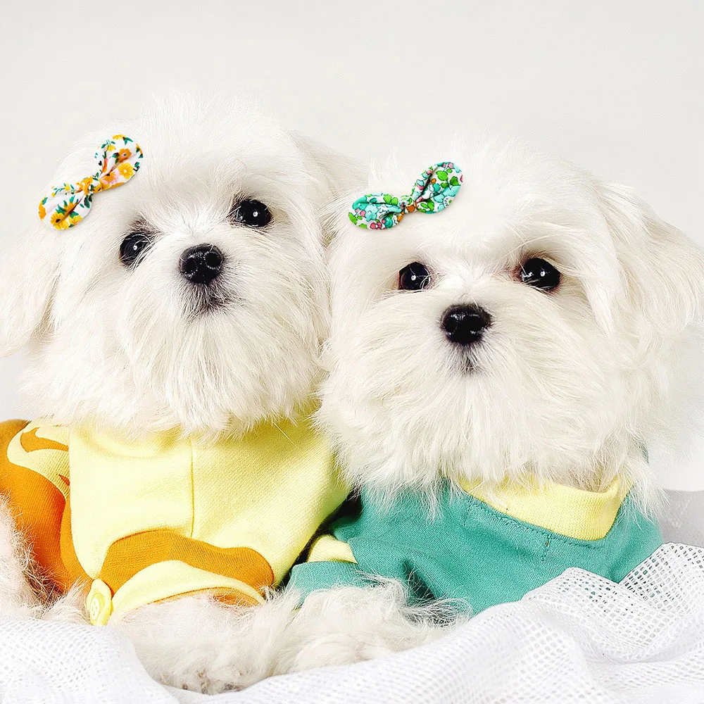 Wholease Pet Hair Bows100PCS Bulk Bows Pet Dog Hair Accessories Small Dog Cat Bows For Dogs Pets Grooming Accessories 5