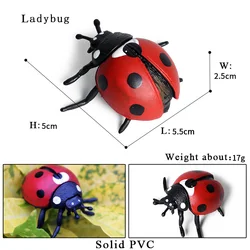 Oenux Insect Action Figures Collection - Educational Toy Set (Animal model)