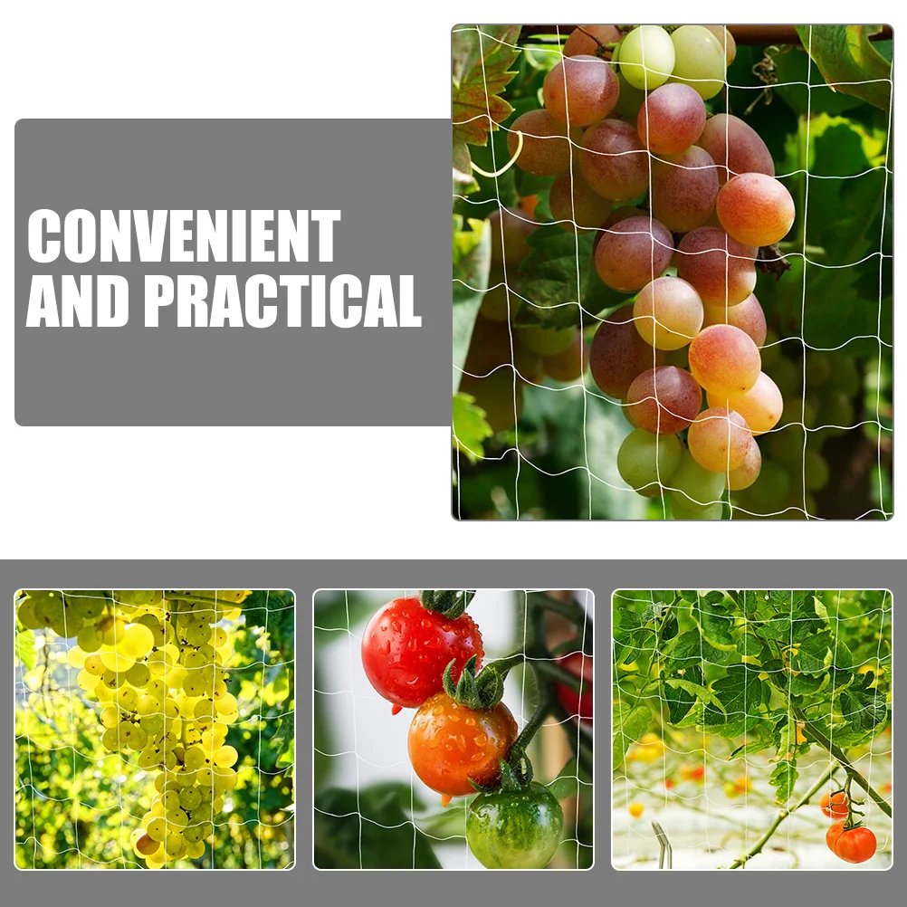 

Netting Trellis for Climbing Plants Climbing Net Garden Netting Outdoor Trellis Garden Trellis Netting