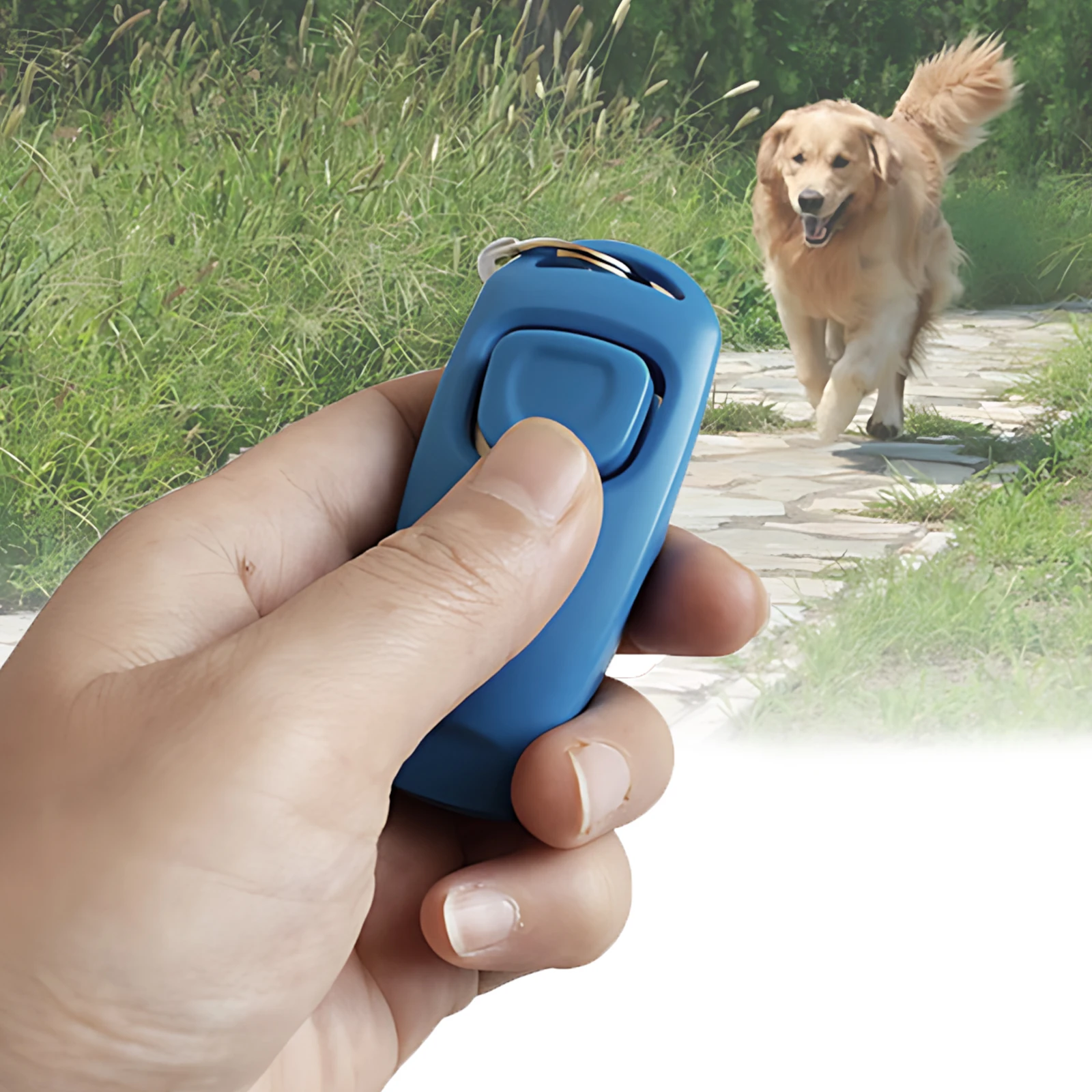 2-in-1 Pet Clicker and Whistle Dog Trainer Key Ring Puppy Training Tool Dog Flute and Clicker dog whistle,dog trainer,dog clicker