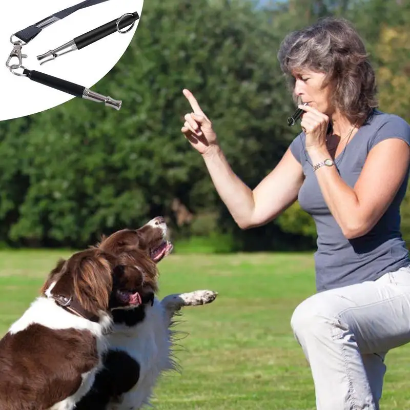 2pcs Dog Whistle Stop Barking Device Lanyard Silent Ultrasonic Training Flute for Pet Sound Trainer
