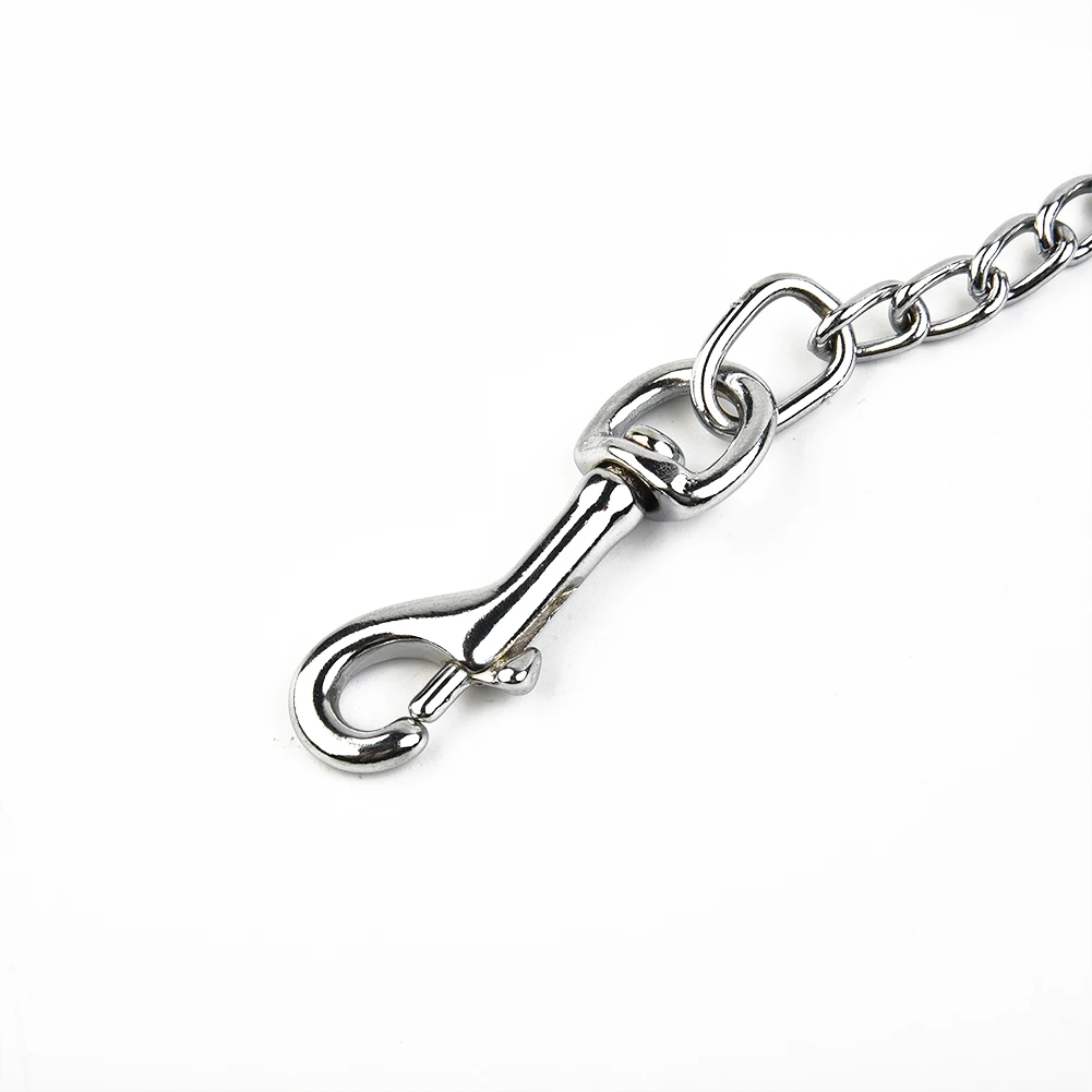 Metal Chain Dog Leash 5