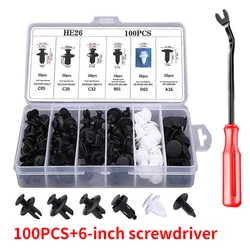 100 - Piece Universal Car Fastener Clip Kit (Set1)