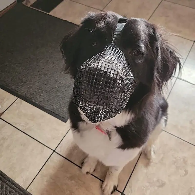 Dog Muzzle Pet dog mouth mask anti disorderly eating mouth mask anti barking and biting breathable mesh special licking