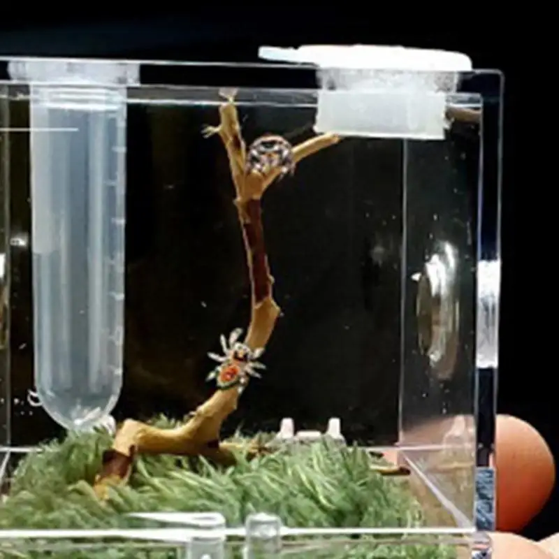 Aquarium Tank Vivarium Box Small Reptiles Breeding Box
