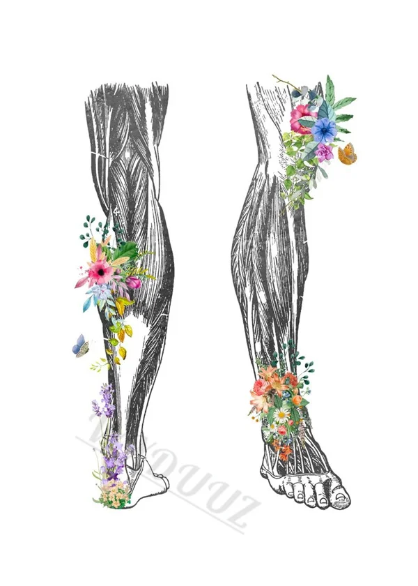 Butterflies Aesthetics Nordic Style Anatomy Art Canvas Print Posters for Home and Hospital Decor