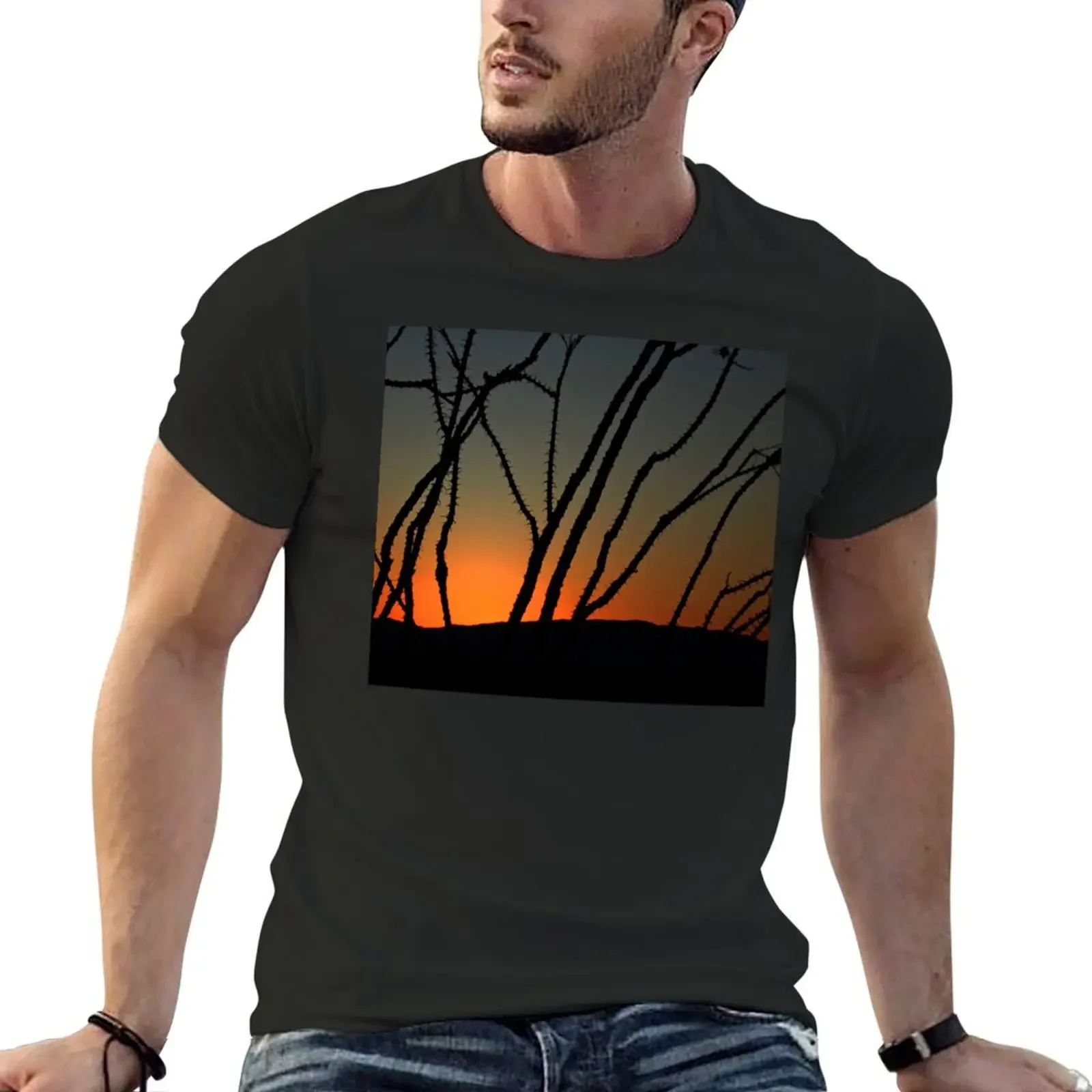 

Ocotillo Sunset T-shirt kawaii clothes boys animal print men t shirt