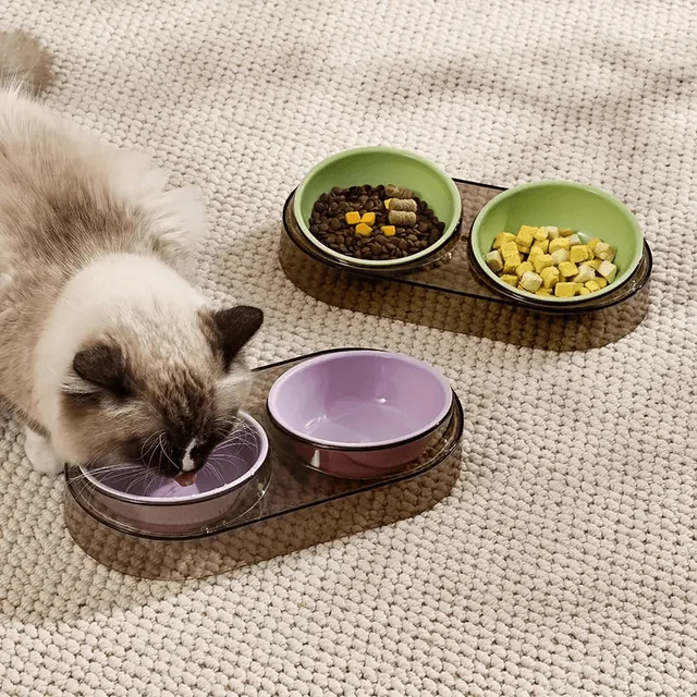 Durable Elevated Dual Bowl Feeder | Raised Pet Feeding Station with Non-Slip Stand, Easy Feeding for Cats & Small Dogs 5