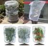 New Plant Protection Bag Cover Netting Mesh for Fruit Vegetable Tree Strawberry Grapes Pest Control Anti-Bird Gardening Tools 1