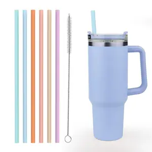 TRIANU 6 Pack Replacement Straw for Stanley 40 oz 30 oz 20 oz Cup