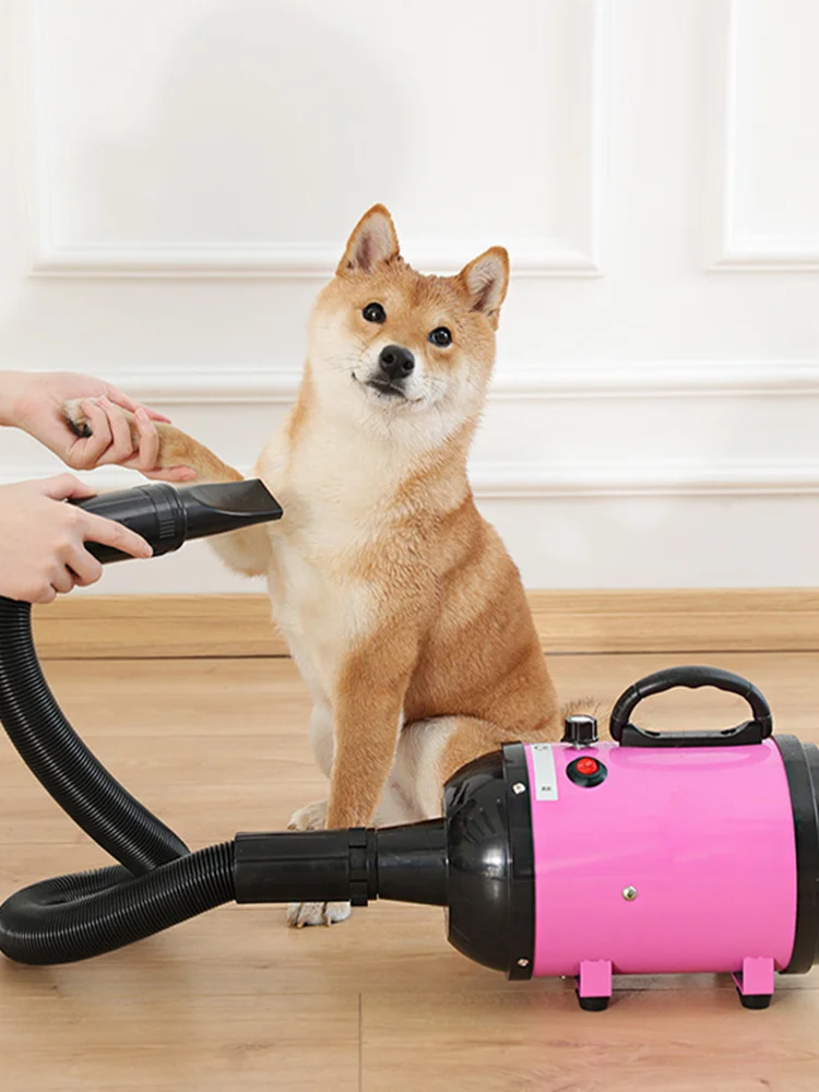 2800W Hair Dryer Dogs Pet Grooming Supplies Blower Warm Wind Secador Fast Blow-dryer Silent Stepless Speed Regulation hair dryer pet hair dryer