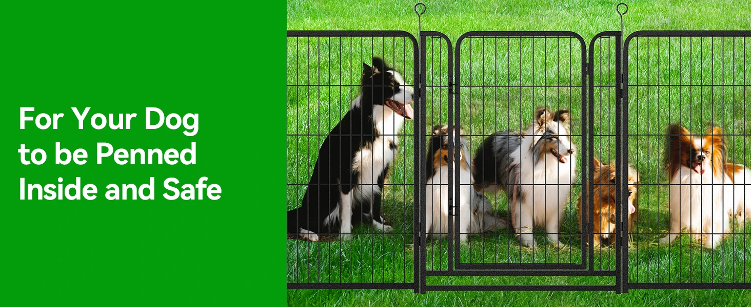 dog pen