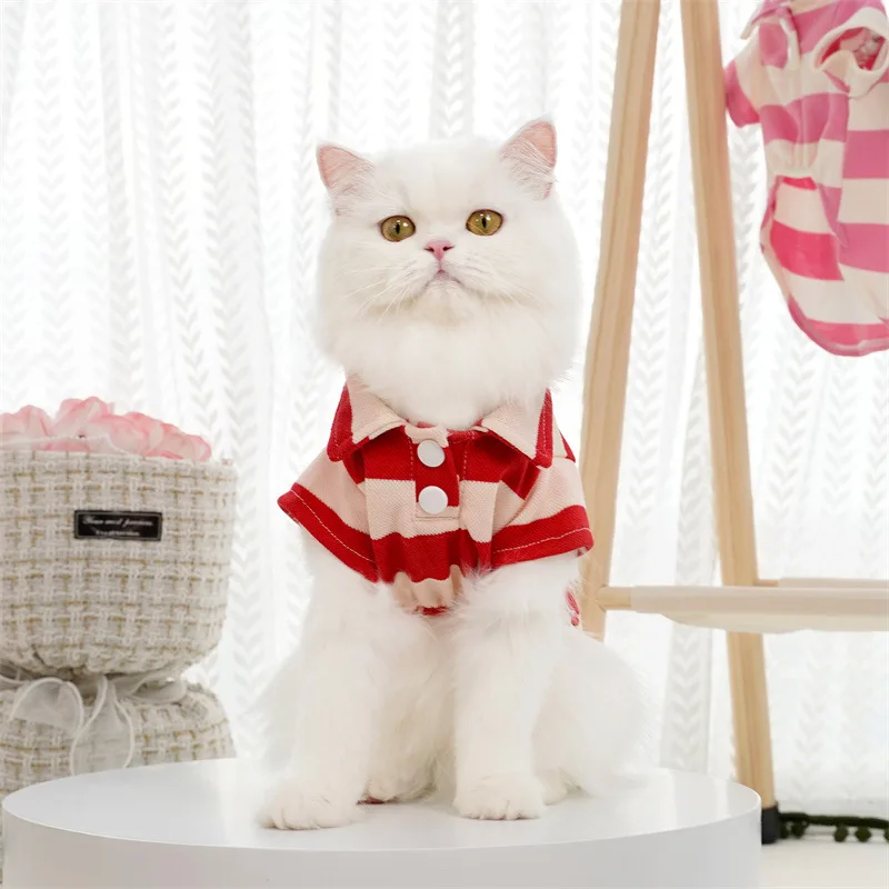 S925da3de1f434a649c90dda0c6f96483y