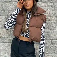 Winter Short Down Sleeveless Vest Women Warm Stand Collar Zipper Jacket Casual Fashion Quilted Cropped Coats Street Outerwears - Image 5