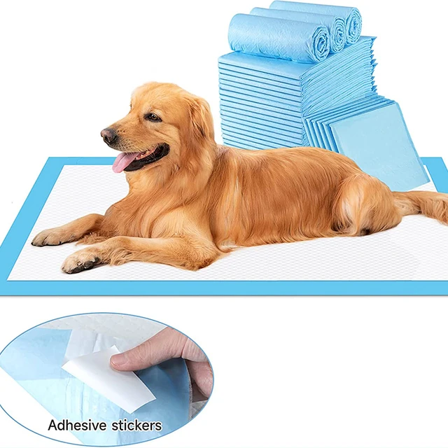 Couche super absorbante pour animaux de compagnie, coussinets de dressage  de chien, couches pour chiots et chats, couches pour chiots, polymères de  surface à séchage rapide - AliExpress