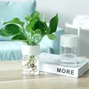 Mini Hydroponic Flower Pot Home Vase Decor Transparent Imitation Glass Soilless Plant Pots Green Plants Pot For Home Decoration 2 Mini Hydroponic Flower Pot Home Vase Decor Transparent Imitation Glass Soilless Plant Pots Green Plants Pot For Home Decoration 2
