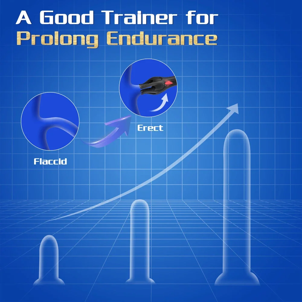 Dahil aksesuarlarla tam ürün düzeni