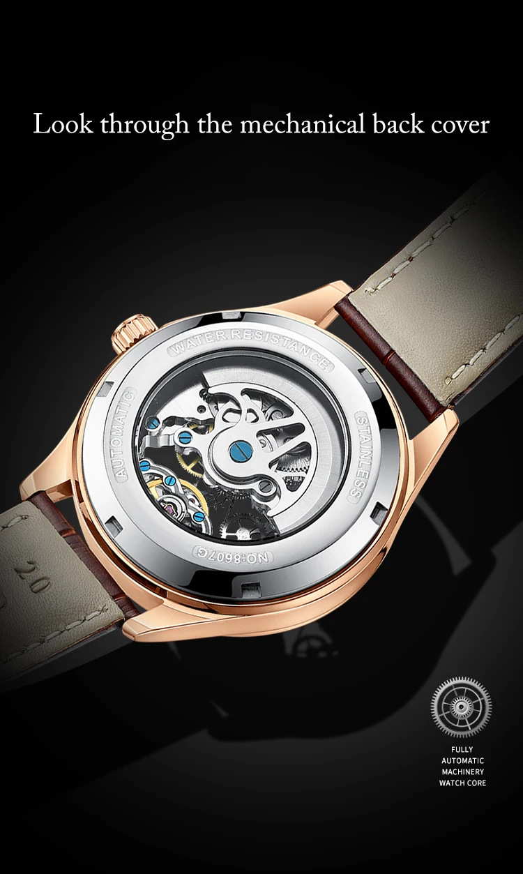 AILANG Transparent Mode Diamant Leucht Getriebe Bewegung Royal Design Männer Top Marke Luxus Männlichen Mechanische Skeleton Armbanduhr – Detail 13