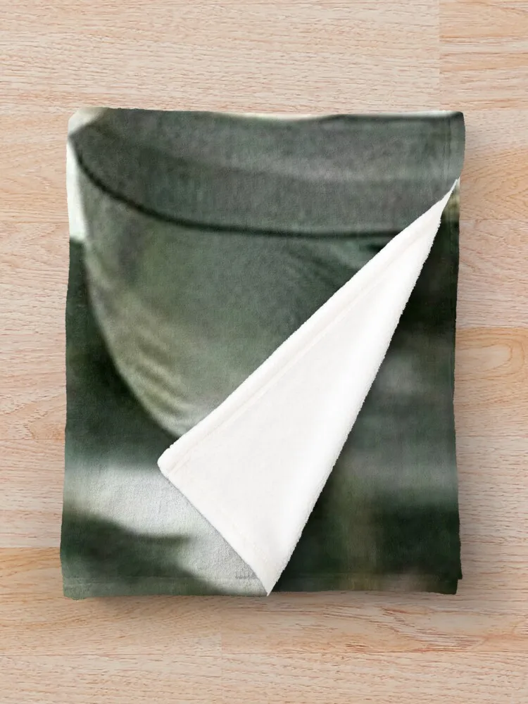 �÷��� ���� ������ ���,  �ö��� ���ܿ�