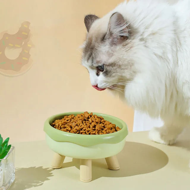 Macaron Color Cat Bowls - 4-Legged Elevated Pet Dishes, Cat Food Plates, Pet Feeding Supplies 5