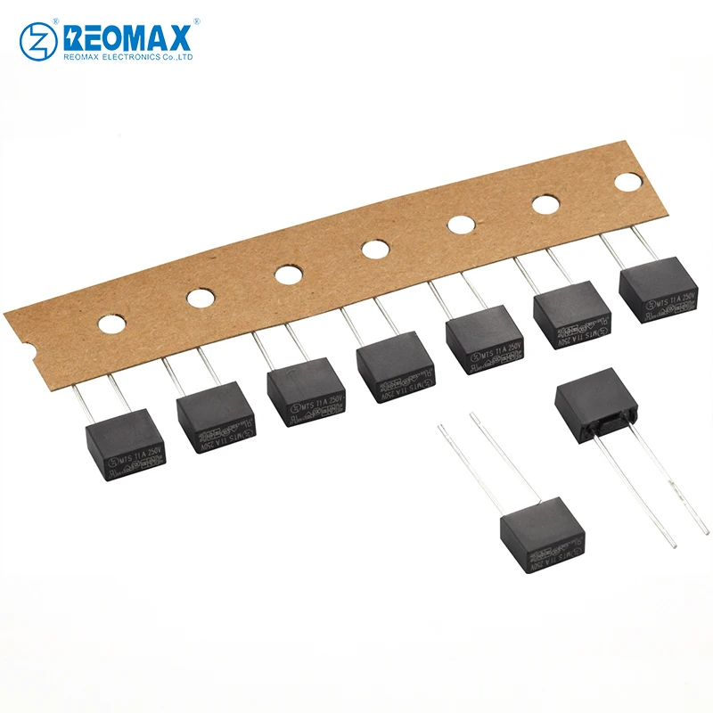 Square MTS Series Time-Lag Radial Lead Micro Fuse 8x4x7mm 1.25A 1.6A 2A 2.5A 3.15A 4A 8A 10A 12A 15A 16A 20A 250V
