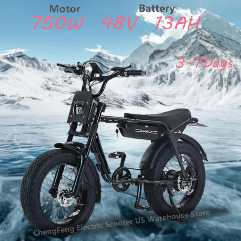 EBIKE 750W16ah48V 電動EBIKE EBIKE 750W16ah48V 電動EBIKE AKEZ ZX Electric Bike | CITI ESCOOTER