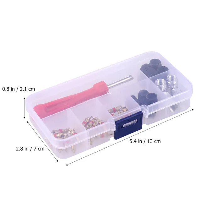 Kit 100 Nuclei Valvola Pneumatici - Con Strumento Di Rimozione, Per Auto, Bici E Moto