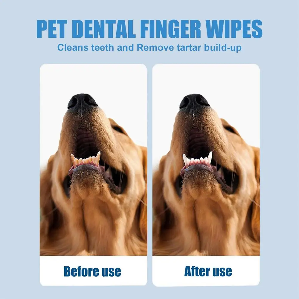 The 14 Best Dog Dental Wipes! (2023) We Love Doodles atelieryuwa.ciao.jp