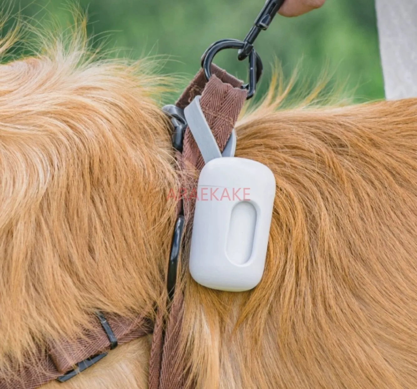 Pet poop scoop, garbage bag, biodegradable cat poop bag, toilet walking dog bag