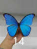 Real Butterfly Specimen Morpho Menelaus Big Blue Flash Butterfly Photo Frame Decorative Painting Ornament Birthday Gift Christma 2