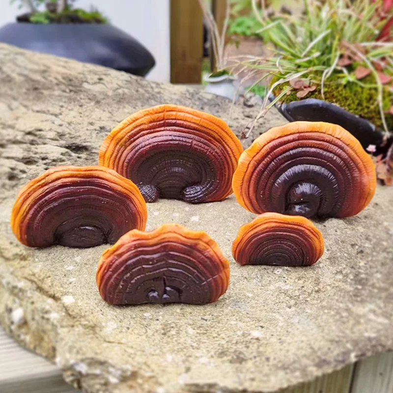 5pc Creative Resin Ganoderma Decor Tree Stump Ornament Outdoor Garden Decor Spring Theme Supplies Home Garden Decoration Ya resin ornaments garden decoration resin handicraft ornaments resin ornament