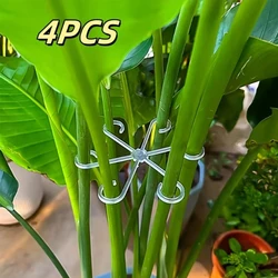 Elegant Large Hanging Plant Stand with Iron Hooks for Indoor & Outdoor Decor (Transparent - 4PCS)