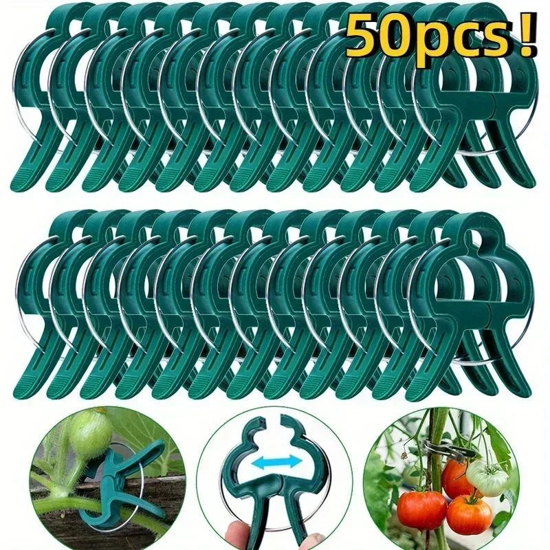 Durable Plastic Garden Plant Support Clips Green Lever Ring Clips Vines Organizing Stems & Branches 50pcs plastic plant clips plastic plant supports plant clips plant stem support plant support connector plant support stick