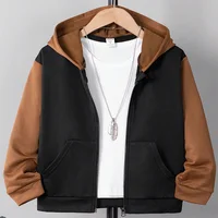 Autumn And Winter Boys Cute Cold And Warm Block Color Hooded Zipper Hoodie Coat Daily Leisure Birthday Party Clothing Clothing