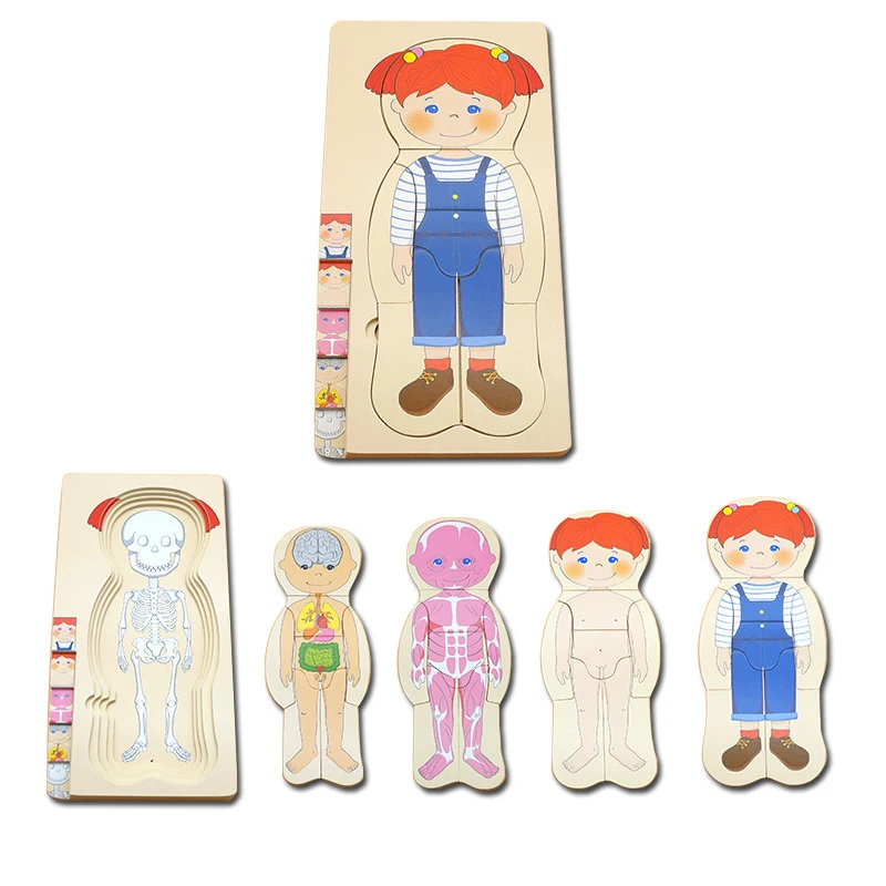 Montessori Wooden Multi-layer Puzzle Human Body Jigsaw Game Boys Girls Body Structure Early Educational Toys For Children Kids 3